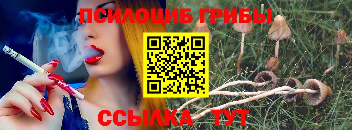 Великие Луки  Галлюциногенные грибы мицелий  Вход с VPN 