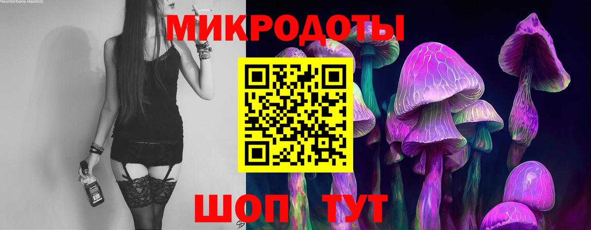 Псилоцибиновые грибы GOLDEN TEACHER Великие Луки